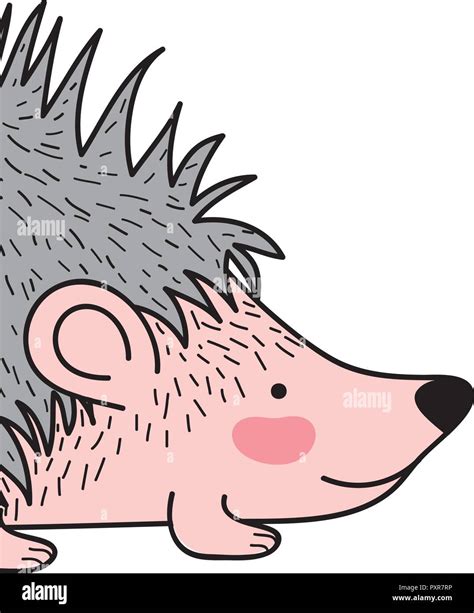 Porcupine Animal Drawing Stock Vector Image And Art Alamy