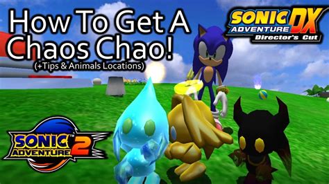 How To Get A Chaos Chao In Sonic Adventure 2 And Dx Tips Animal