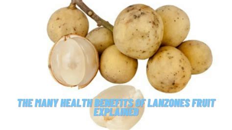 The Many Health Benefits Of Lanzones Fruit Explained Barbell Rush