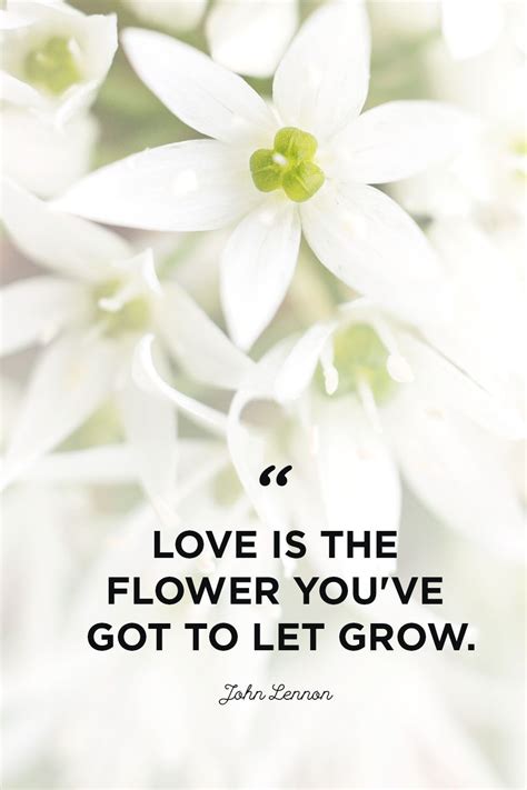 Lift Your Mood With These Inspiring Quotes About Flowers Flower