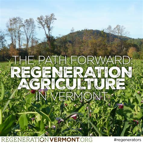The Path Forward: Regeneration Agriculture in Vermont - Regeneration 