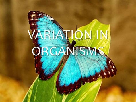 Variation In Organisms