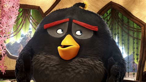 A Field Guide To The Flock Of Angry Birds Characters