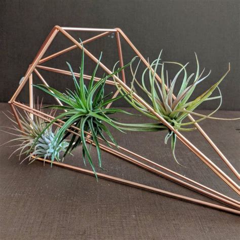 Geometric Air Plant Prism Decor Three Shapes And Colors To Etsy Air
