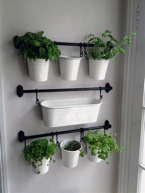 Indoor Kitchen Herb Garden Ideas Gardening Design