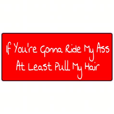 If Youre Gonna Ride My Ass At Least Pull My Hair Sticker Us Custom Stickers