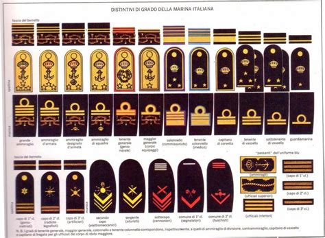 Distintivi E Gradi Della Regia Marina Military Ranks Navy Rank