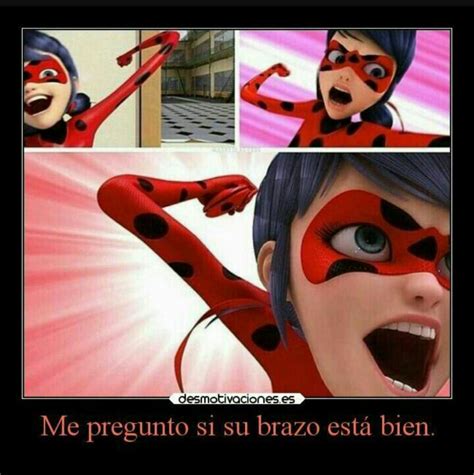 Memes Miraculous Ladybug Espa Ol Amino