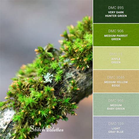 Vibrant Moss Embroidery Color Palette With Thread Codes