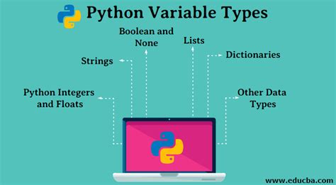 Python Variable Types Top Useful Types Of Variables In Python