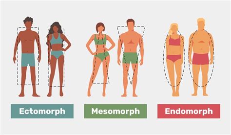 Body Types Are you an Ectomorph Mesomorph or Endomorph Tua Saúde