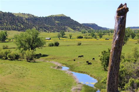 Montana Cattle Ranch Listing For Sale