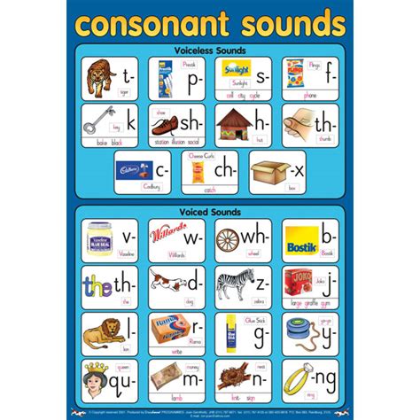 Voiced And Voiceless Consonants Chart Consonant Charts Hot Sex Picture
