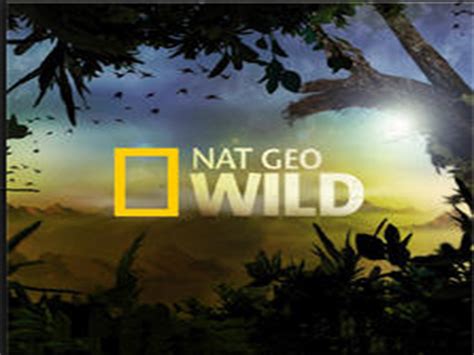 Nat Geo Wild Channel Logo