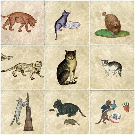 Medieval Cats An Apology For Black Cats A Brief History And Bestiary
