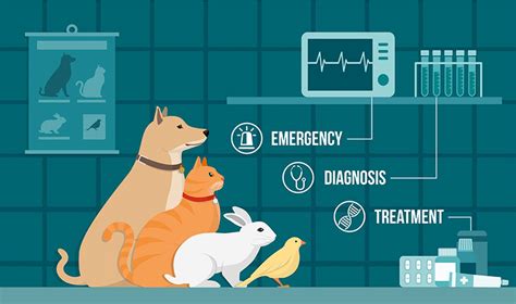 Webmd veterinary experts provide comprehensive information about pet health care, offer nutrition and feeding tips, and help you identify illnesses in pets. Veterinarians Serving Spring Hill and Brooksville. Animal ...