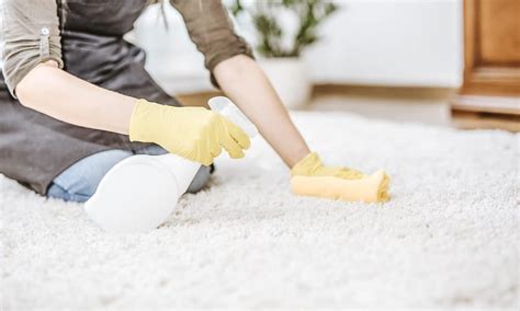 Mildew Carpet Removal Get Musty Smell Out Of Carpet