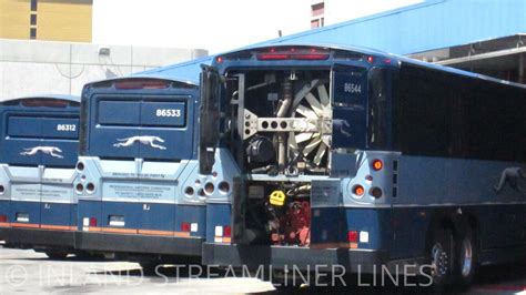 Greyhound Fleet At Reno 10 86544 Hatches Open 86533 86 Flickr