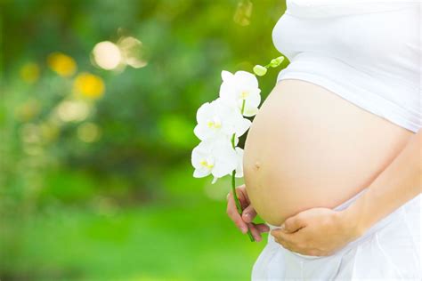 7 Tips Que Toda Mujer Embarazada Debe Conocer Plenilunia