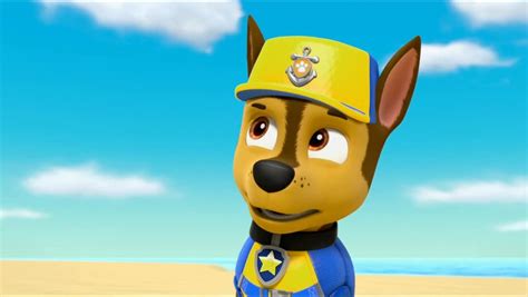 Chase Chase Paw Patrol Photo 42953385 Fanpop