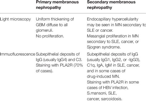 Differential Diagnosis From Primary To Secondary Membranous Nephropathy