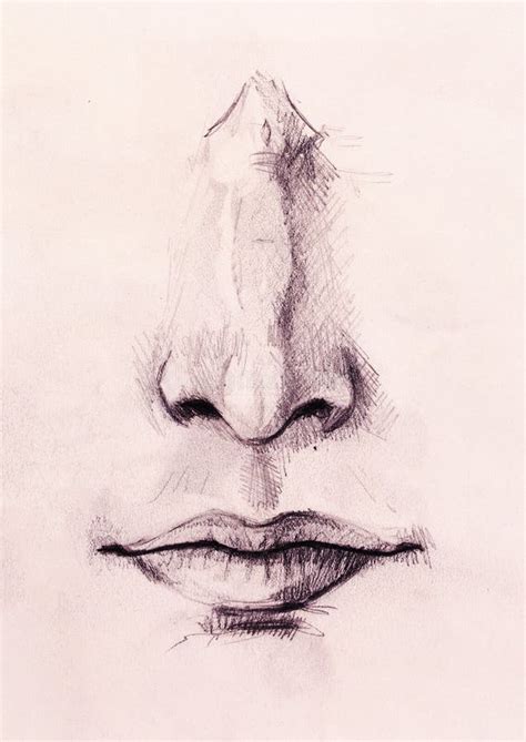 Artistic Sketch Of Face Parts Nose And Mouth On White Paper