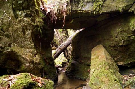 10 Best Hiking Trails In Red River Gorge For Adventure