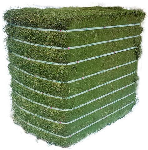 Alfalfa Hay For Animal Feed 100 Herbal At Best Price In Nur Sultan