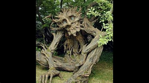 10 Strange Trees In The World Mysterious Trees 10 Most Strange And