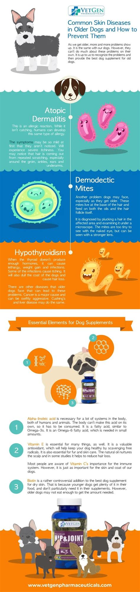 Common Skin Diseases Old Dogs Infographic Dog Infographic Skin