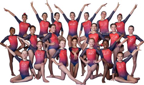 Girls Competitive Team Rising Star Gymnastics