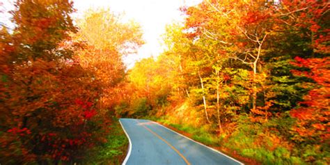 Fall Foliage In Massachusetts 2023 Visit Massachusetts