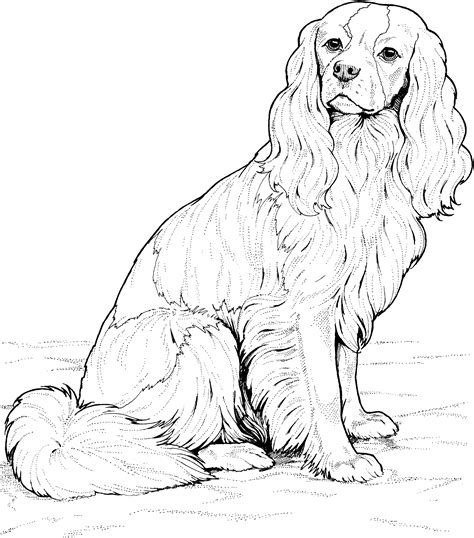 ️realistic Puppy Coloring Pages Free Download