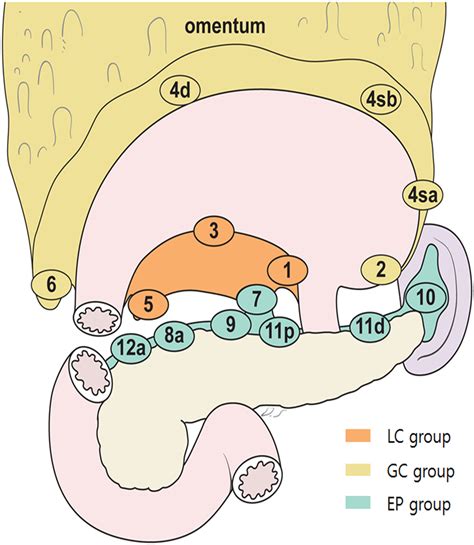 All Location Of Lymph Nodes