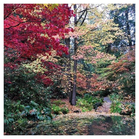 Seattles Washington Arboretum In Full Fall Colors I Took This Photo