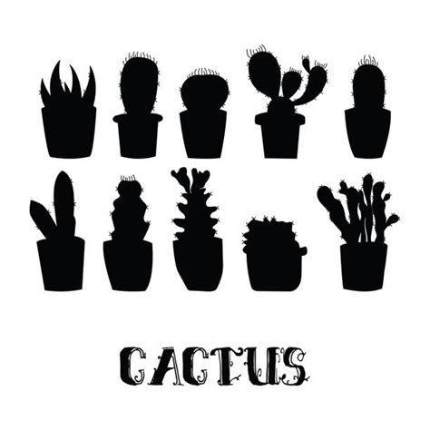 Pin the clipart you like. Best Black And White Cactus Illustrations, Royalty-Free ...