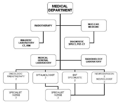 Organizational Chart Of Medical Department 8 Download Scientific