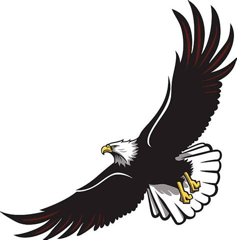 Eagle Clip Art Vector Images And Illustrations Istock