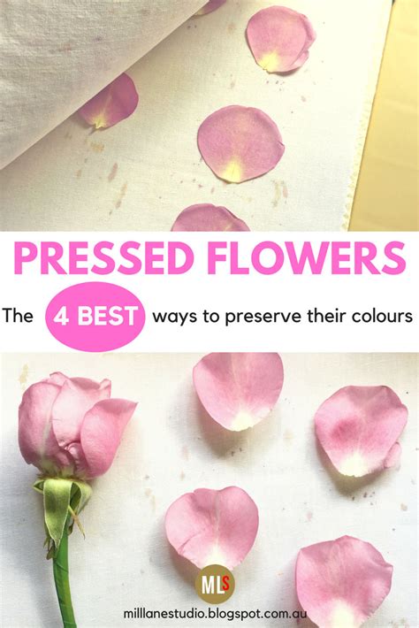 How do you preserve the colour of flowers when you dry them? Drying and Preserving Flowers for Resin | Mill Lane Studio