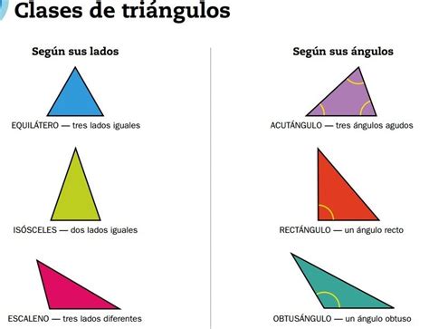 Fum E Autour Conomique Tipos De Triangulos Que Existen Zone Humide Pratique Chevilles