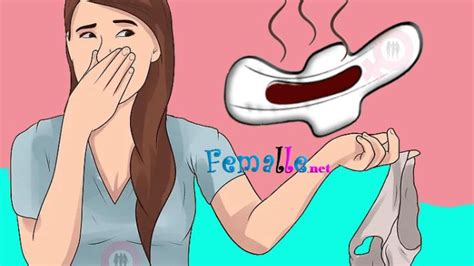 Untitled Female Hygiene Menstrual Hygiene