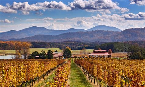 What To Drink See And Know Bs Guide To Virginia Wineries