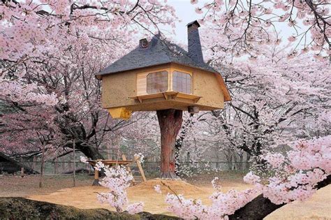 He was a front runner and was all. 15 Best Treehouses In The World That Make The Dreamiest ...
