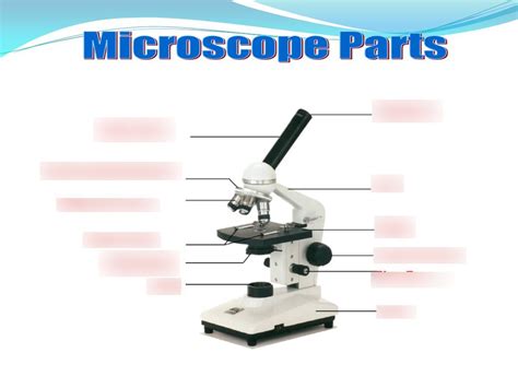 Science Parts Of A Microscope Quiz Part 1 Diagram Quizlet