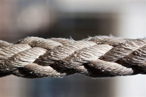Strong Thick Rope Stock Image Image Of Fixed Maritime 20264339