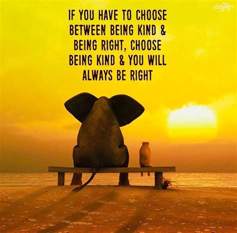 If You Have To Choose Between Being Kind And Being Rightchoose Being