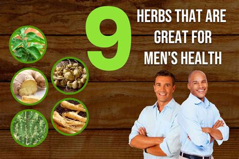 9 Herbs That Are Great For Mens Health Sidomex Entertainment