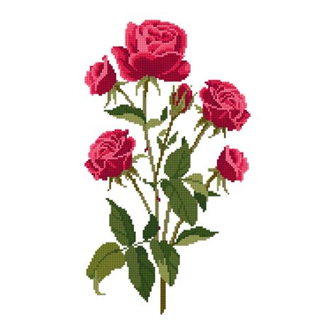 Roses In Dmc Pat0183 Downloadable Pdf Dmc Cross Stitch Cross