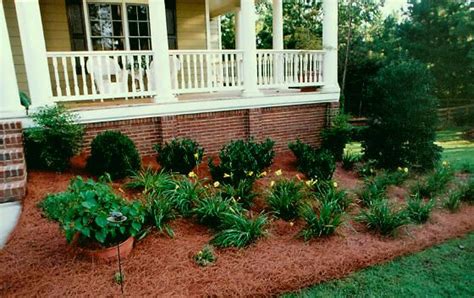 Agate & herb, located at 2237 wealthy st. Use those annoying pine needles you raked up for mulch ...
