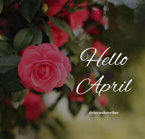 50 Hello April Images Pictures Quotes And Pics 2021 In 2021